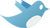 Twit Kuşu